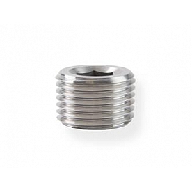 Earl's Plumbing Fitting Plug/ Fitting Cap SS993206