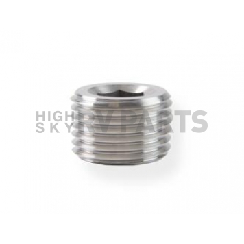 Earl's Plumbing Fitting Plug/ Fitting Cap SS993206