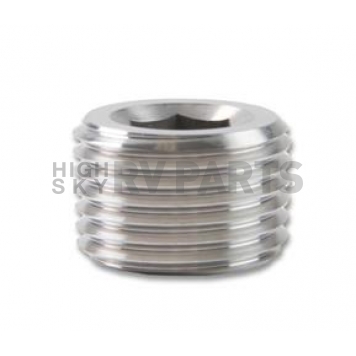 Earl's Plumbing Fitting Plug/ Fitting Cap SS993205