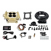 FiTech Fuel Injection System - 31005