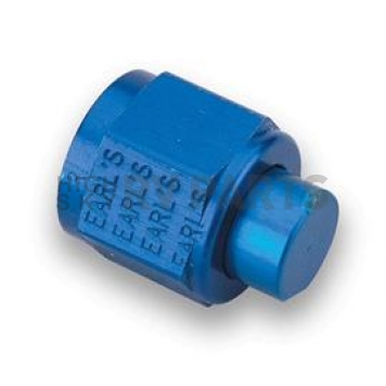 Earl's Plumbing Fitting Plug/ Fitting Cap 992920