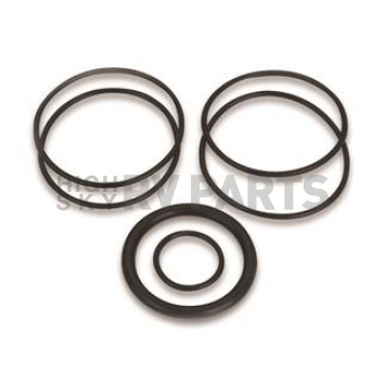 Quick Fuel Technology Fuel Filter O-Ring - 30-7036QFT