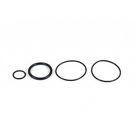 Canton Racing Fuel Filter O-Ring - 26-800