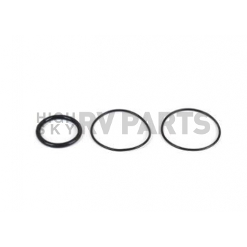 Canton Racing Fuel Filter O-Ring - 26-801