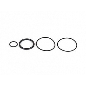 Canton Racing Fuel Filter O-Ring - 26-820