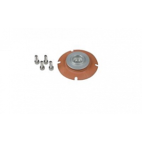 Aeromotive Fuel System Fuel Pressure Regulator Service Kit - 13005