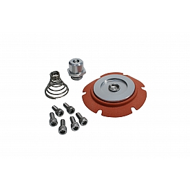 Aeromotive Fuel System Fuel Pressure Regulator Service Kit - 13022