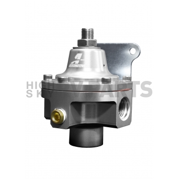 Aeromotive Fuel System Fuel Pressure Regulator Service Kit - 13022-1