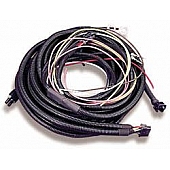 Holley  Performance Fuel Injector Wiring Harness - 534-25-1