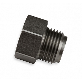 Earl's Plumbing Adapter Fitting 00120