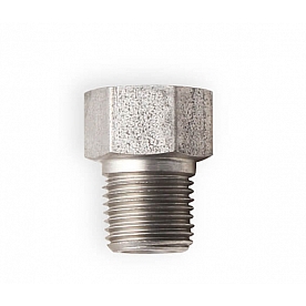 Earl's Plumbing Adapter Fitting 02102