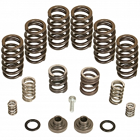 BD Diesel Fuel Injection Pump Governor Spring - 1040185