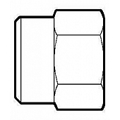 Anderson Fittings Adapter Fitting 5A12D