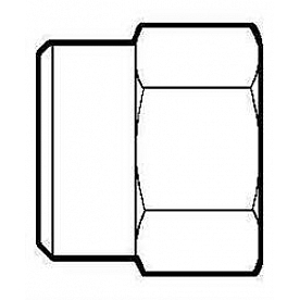 Anderson Fittings Adapter Fitting 5A12D