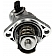 Dorman (OE Solutions) Thermostat Housing 9025210