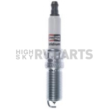 Champion Plugs Spark Plug 9901