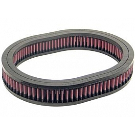 K & N Filters Air Filter - E-2920