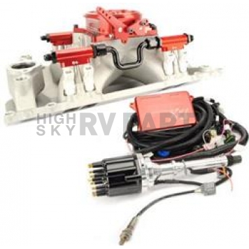 Fast Fuel Injection System - 3012350-10