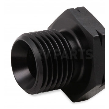 Earl's Plumbing Adapter Fitting AT9919BFJ-2