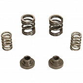 BD Diesel Fuel Injection Pump Governor Spring - 1040187