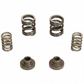 BD Diesel Fuel Injection Pump Governor Spring - 1040187