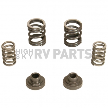 BD Diesel Fuel Injection Pump Governor Spring - 1040187