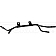 Dorman (OE Solutions) Oil Cooler Line - 624-534
