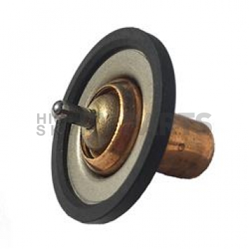 Jet Performance Thermostat 10167