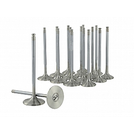 Skunk 2 Intake and Exhaust Valve Set - 310-05-9540