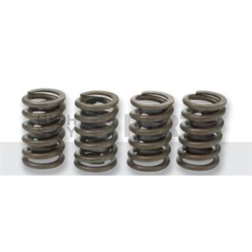 GM Performance Valve Spring - 10212811