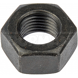 Dorman (OE Solutions) Nut 962013D
