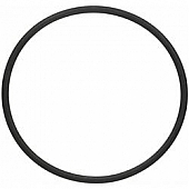 Fel-Pro Gaskets Water Pump O-Ring - 35641