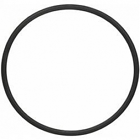 Fel-Pro Gaskets Water Pump O-Ring - 35641