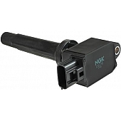 NGK Wires Ignition Coil 48895