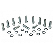 Moroso Performance Intake Manifold Bolt - 38400