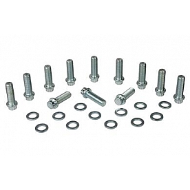 Moroso Performance Intake Manifold Bolt - 38400