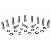 Moroso Performance Intake Manifold Bolt - 38410