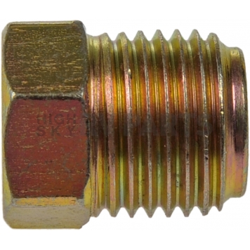 Dorman (OE Solutions) Fitting Plug/ Fitting Cap 785491