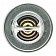 MotorRad/ CST Thermostat 201180