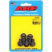 ARP Auto Racing Bolt 6420500