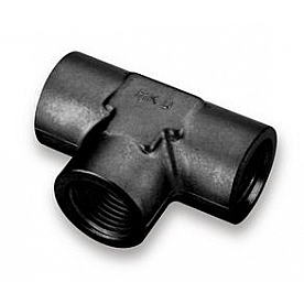 Earl's Plumbing Coupler Fitting AT991702