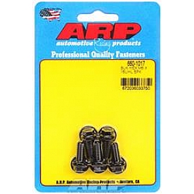 ARP Auto Racing Bolt 6601017