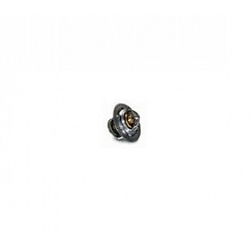 Jet Performance Thermostat 10164