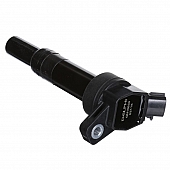 Delphi Technologies Ignition Coil GN10633