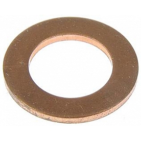 Dorman (OE Solutions) Banjo Fitting Washer 4841801