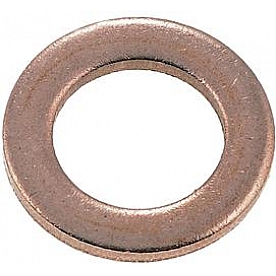 Dorman (OE Solutions) Banjo Fitting Washer 4841881