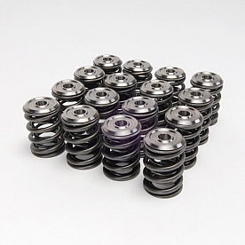 Skunk 2 Valve Spring - 344-05-1410