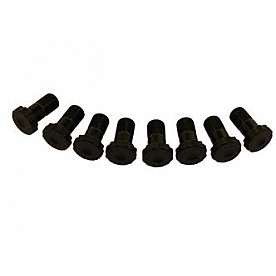 Ram Clutch Flywheel Bolt - 529-8