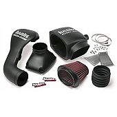 Banks Power Air Filter - 41828