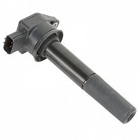 Delphi Technologies Ignition Coil GN10358